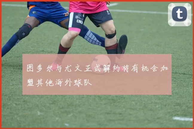 图多尔与尤文正式解约将有机会加盟其他海外球队